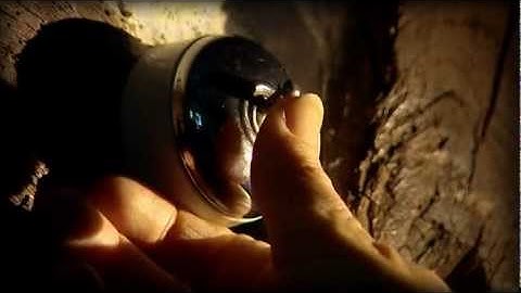 Qbus Building Intelligence - Home Automation