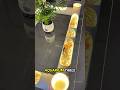 This DIY Aquarium Coffee Table Is Insane 🤯