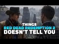 17 Things Red Dead Redemption 2 Doesn't Tell You