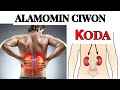 Wajibi Ne Kowa Yasan Wadannan Alamomin 