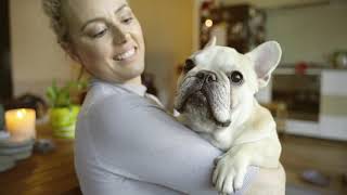 Cute but complicated - the Cost of French Bulldogs