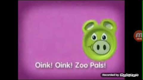 zoopals in Luig Group