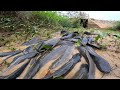 Unconventional Waterside Success: Hand Fishing for Catfish in Dry Canals with Amazing Skills!