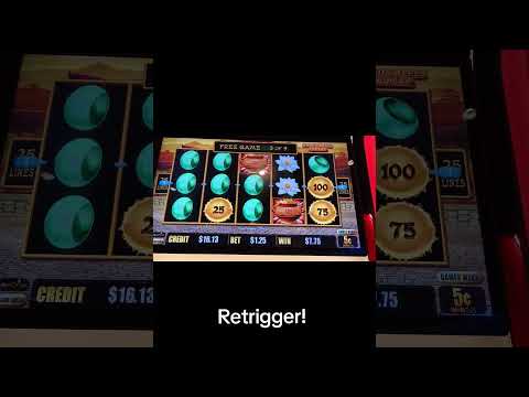 Bingo..44..Papa Caliente
