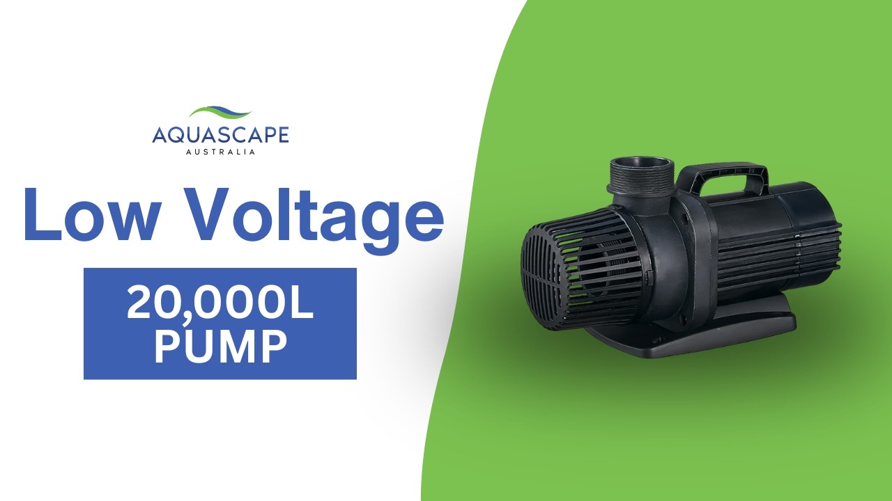 20,000L Low Voltage Pond Pump | High Flow, Low Power Performance