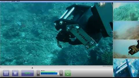 DWTEK_Investigator ROV manipulator grabbing