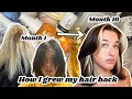 HOW I GREW MY BLEACHED DAMAGED HAIR BACK WITHOUT SHAVING IT. (10 months documented + Fav Products)