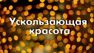 "Это Ростов, детка!". Вторая серия: "Ускользающая красота" "Это Ростов, детка!". Вторая серия: "Ускользающая красота"