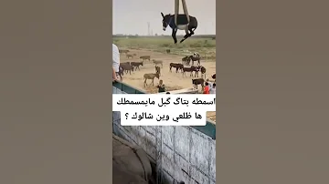 شالو شالو ادعمنا بلايك وشتراك 