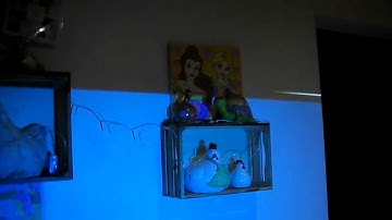 VIVIBRIGHT F30 LCD Projector probleme keystone