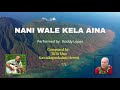 NANI WALE KELA AINA