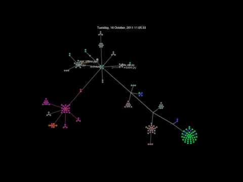 WCO Project Gource Visualization