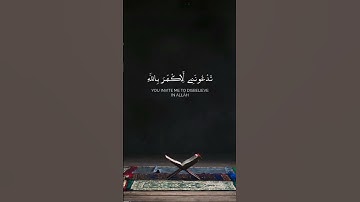 ويا قوم ما لي أدعوكم إلى النجاة وتدعونني إلى النار | عمر القزابري | سورة غافر.  #اكسبلور #quran