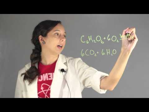 What Represents Heat Added in a Chemical Equation? : Chemistry Lessons