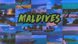 المالديف أجمل جزر العالم