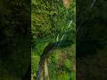 Waterfall | waterfalls | Waterfall of ￼India | Maharashtra waterfall | Gujarat waterfall |#travel