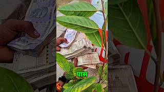 Finally YouTube Se 14,863 💸Rupya Mila 🤑💰 #minivlog #vlogs #shortvideo