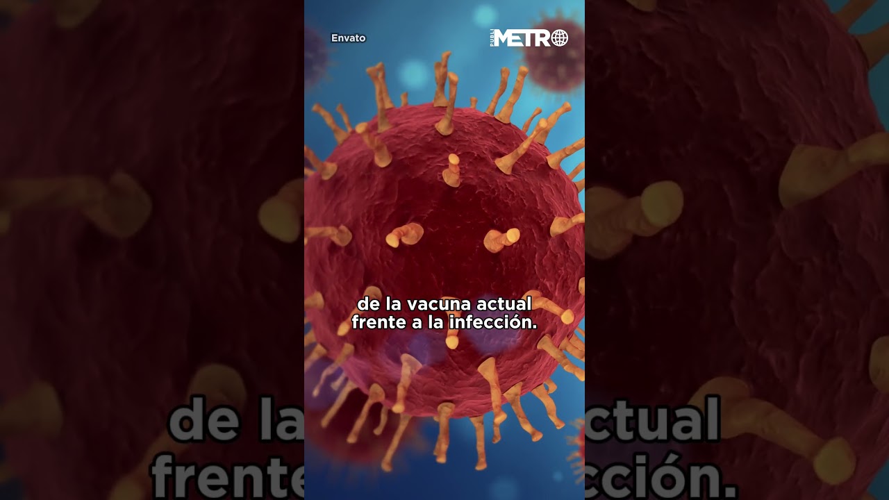 The new H3N2 variant raises red flags: a wave of influenza shakes the world