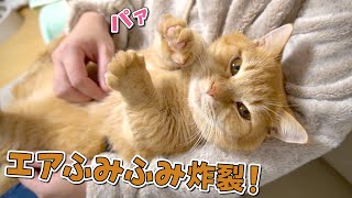 あったか毛布を着て愛猫を抱っこしたら赤ちゃんになっちゃいました