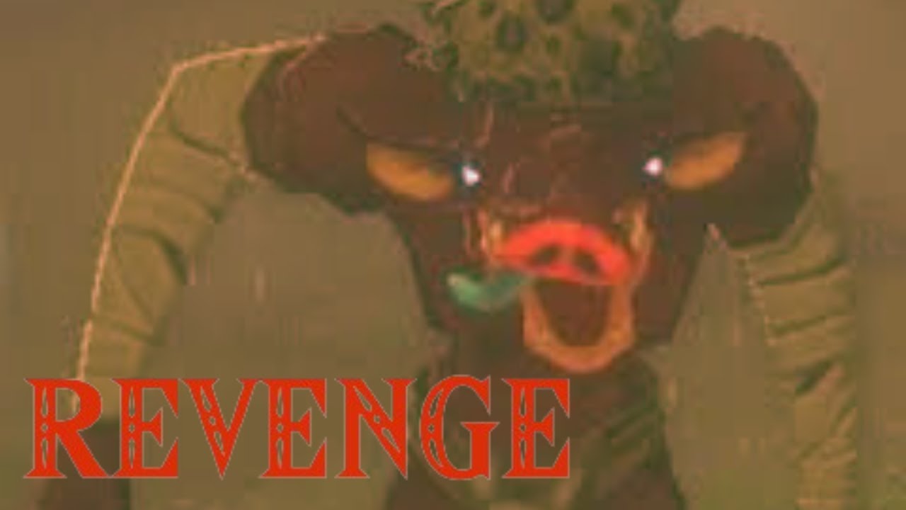 MR.MOBLINS REVENGE?! in Zelda: Tears of Kingdom