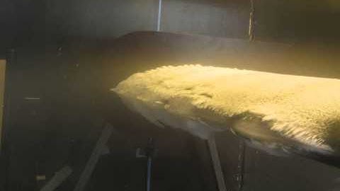 Ice Accretion and Melting