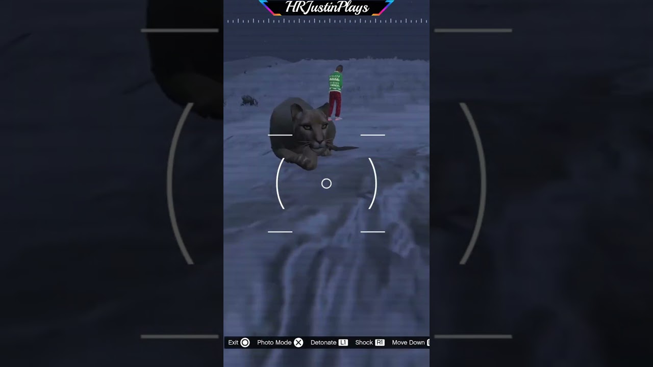 Shoot Animals Photography - Unlucky Wheel - Madrazo Hit - Mountain Lion - Cat - Chicken Hawk