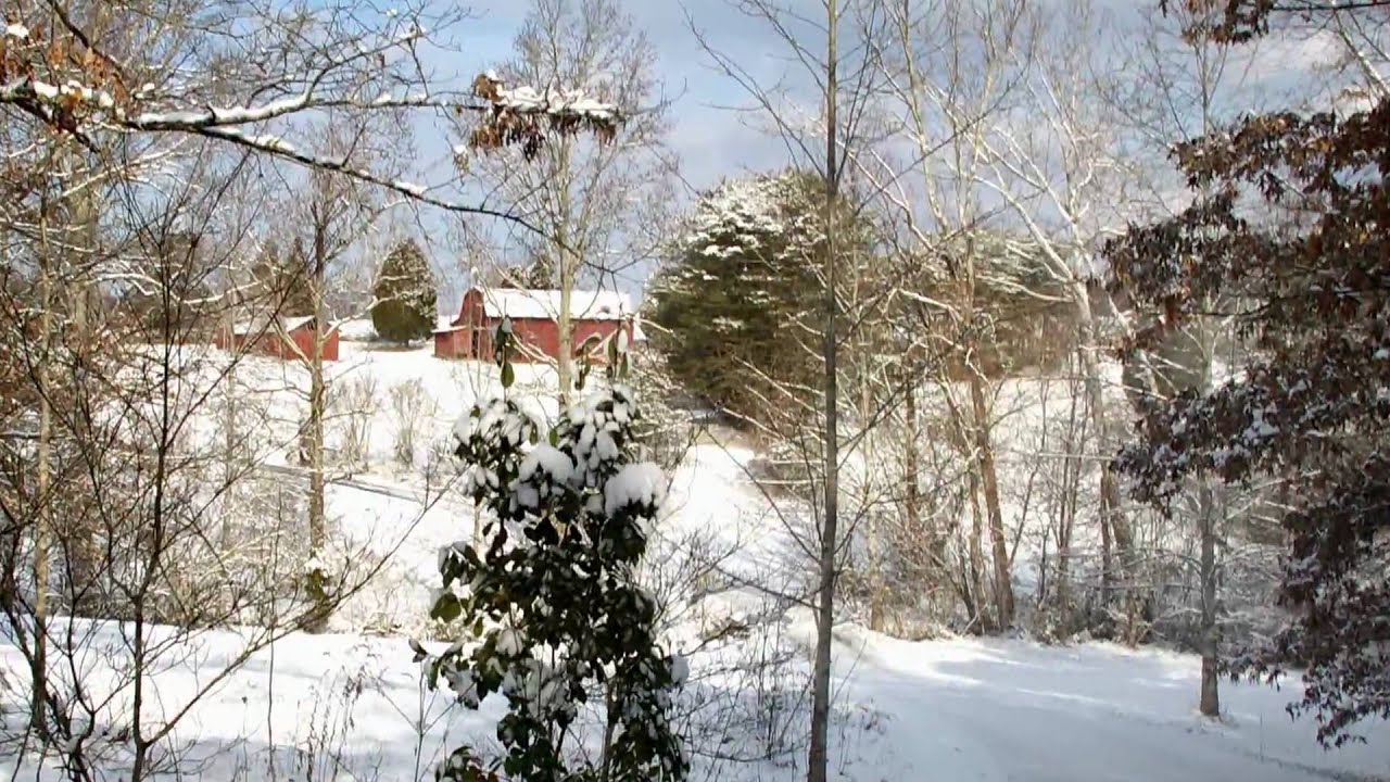 Nature's Seasons - YouTube