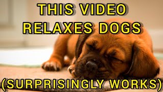 Relax Your Dog With THIS Video (Surprisingly Works!)[Relaxing Reggae and Soft Rock Music for Dogs)🎶🐶 - relaxing music for dogs to calm from fireworks