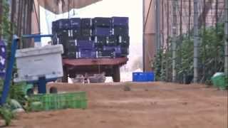 Pickapp - The Intelligent System For Picking Fruits And Vegs