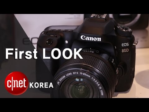 [#Review] 캐논 EOS 80D "영상에 숨은 비밀은⋯진짜?"