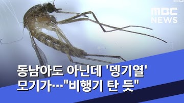 동남아도 아닌데 