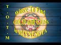 Where To FIND GOLD And RARE GEMS In MINNESOTA