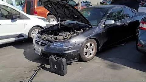 Honda Accord Junkyard Journey