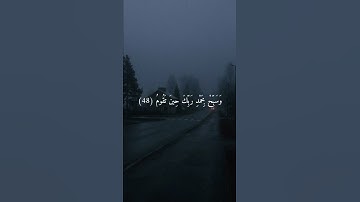 راحة نفسية 🖤 حالات واتس اب قرآن كريم 🖤🌿 بصوت الشيخ ماهر المعيقلي