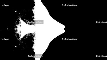 Iterating The Celtic Mandelbrot