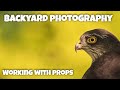Backyard photography -  Working with props - What worked and what didn't.