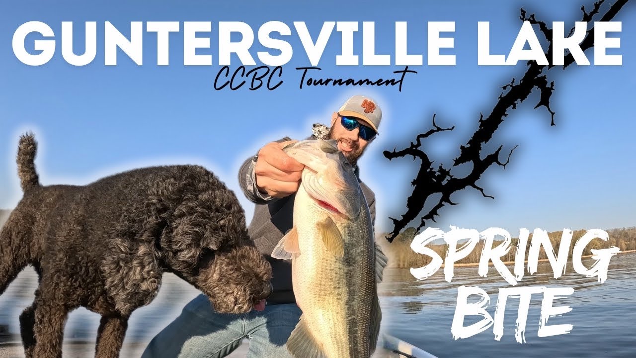 GUNTERSVILLE LAKE BASS FISHING | March
