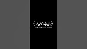 سورة الزلزله ياسر الدوسري | شاشه سوداء كروما قران شاشه سوداء #كرومات_قرآن