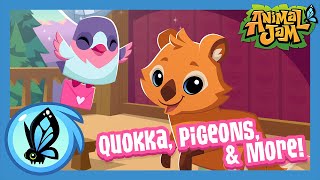 QUOKKA, Pigeons, & More! | Animal Jam Update