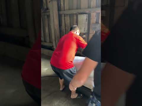 Чувашия #чуваш #чуваши