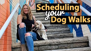 How a Dog Walker Schedules Walks by In Ruff Company 11,887 views 4 years ago 5 minutes, 39 seconds