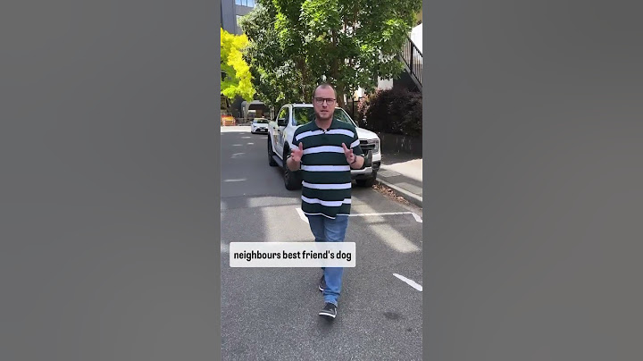 The Drive Car Journalists! | Drive.com.au