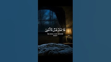 حالات واتس دينية 🙏🏻🩶 | #القرآن_الكريم #تلاوة_خاشعة #تلاوة_هادئة