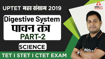 UPTET 2019 | Science | Digestive System (Part 2)