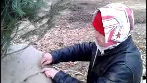 How to burlap and tie trees (ball & burlap)