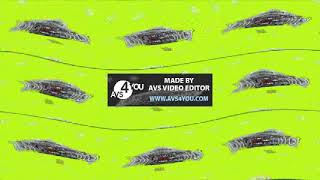 Preview 1280 Ginger Carl Effects Round 157 V2