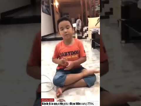 Video Em Đỗ Phi Long 6 tuổi ,đấu quạt Nhật 110v sang 220v - YouTube