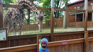 Living Treasures Zoo