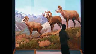 The Life and Times - The Magician EP