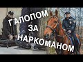 Вызов 02  Галопом за наркоманом